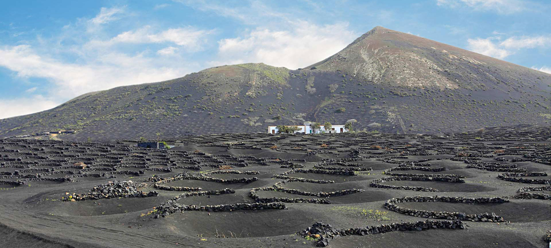 Vigneti che emergono dai crateri vulcanici a La Geria, Lanzarote Vigneti che emergono dai crateri vulcanici a La Geria, Lanzarote