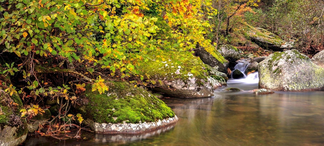 Paysage automnal dans la vallée de l