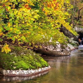 Paesaggio autunnale nella Valle dell