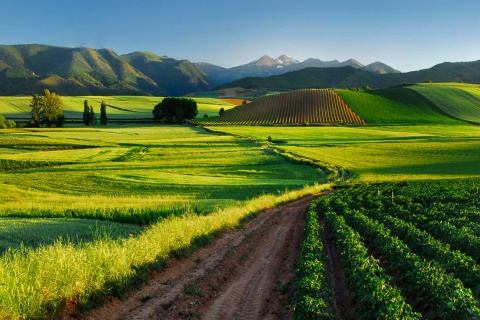 Paisajes de la Rioja