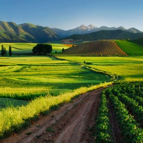 Paesaggi della Rioja Paesaggi della Rioja