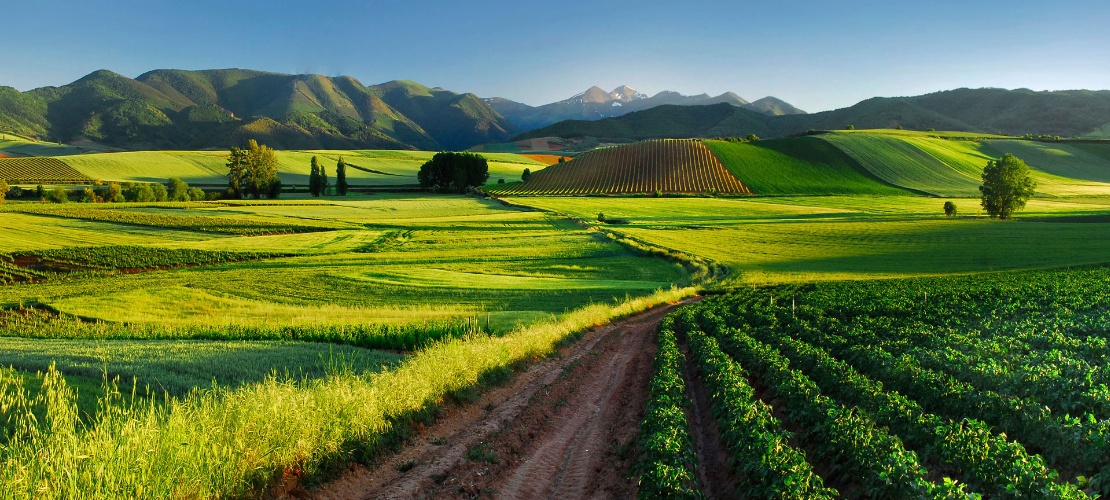 Landscape in La Rioja