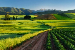 Paesaggi della Rioja