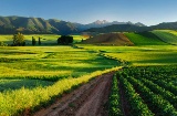 Landscape in La Rioja