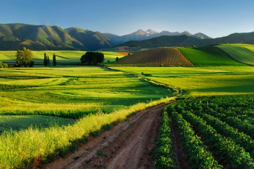 Paisagens de La Rioja