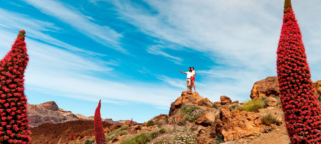 Park Narodowy Teide