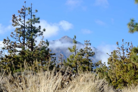 Vista do Teide