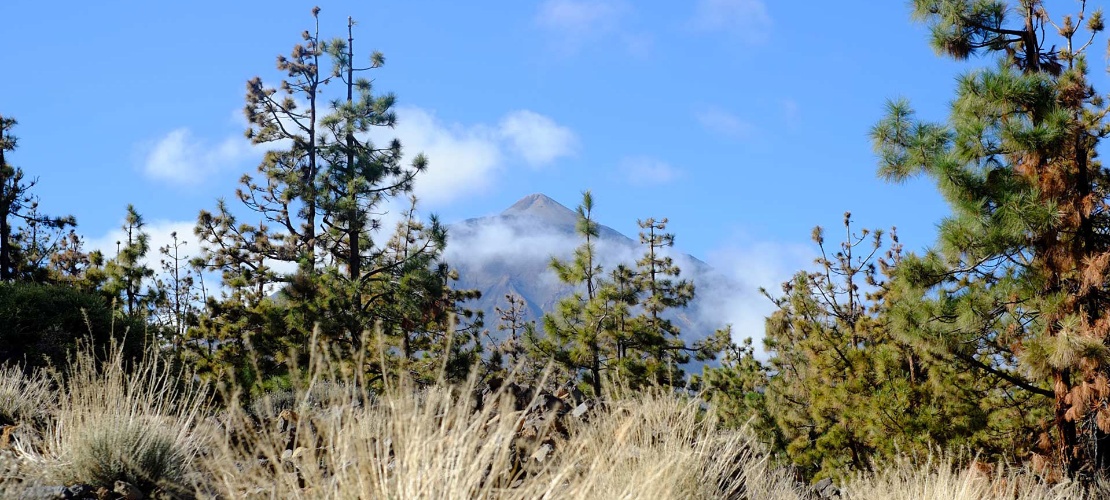 Vue du Teide