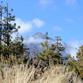 Vue du Teide