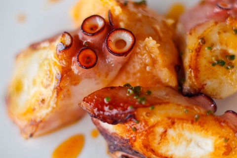 Plato de pulpo