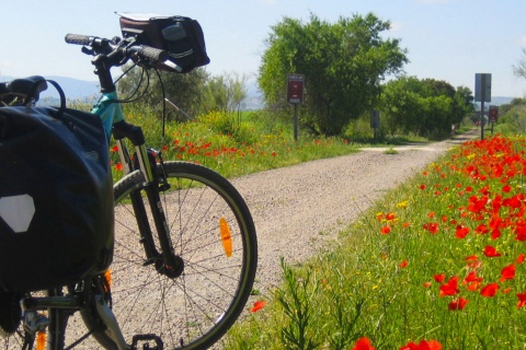 Grüner Weg, Fahrrad