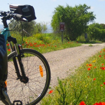 Vía verde, Bicicleta