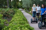 Tourists in the Royal Botanical Garden