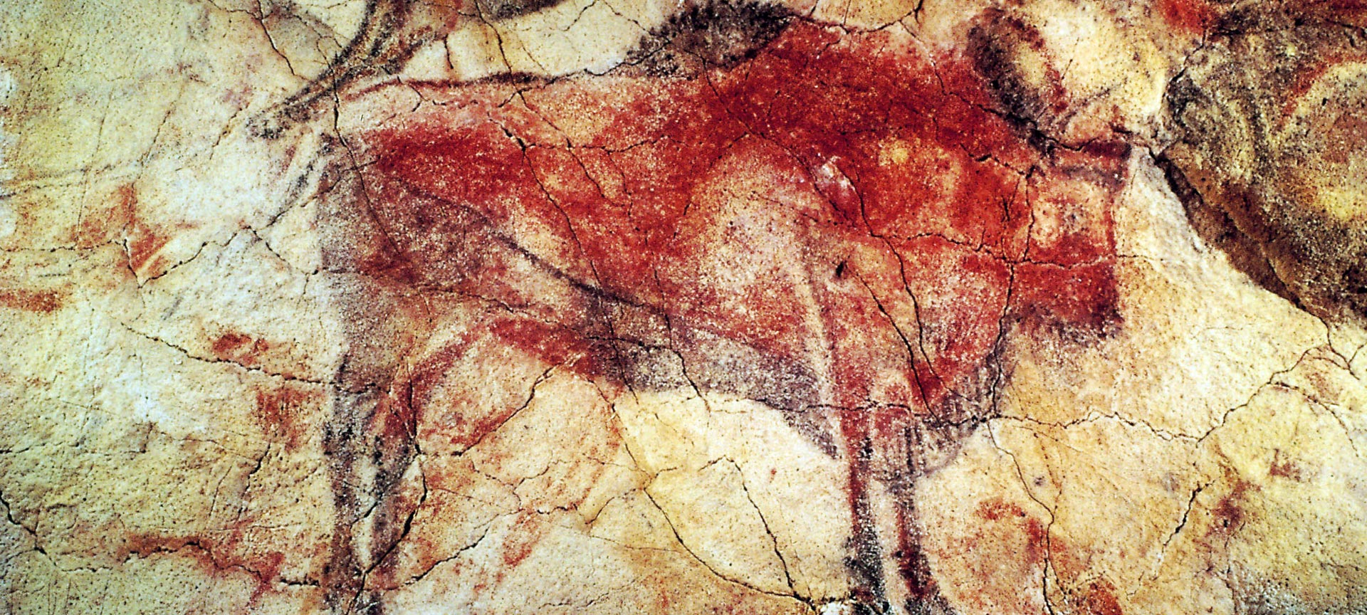 Bison painting in Altamira Cave, Santillana del Mar