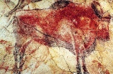 Peinture de bison dans la grotte d'Altamira, Santillana del Mar