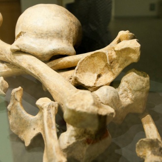 ブルゴスにある人類進化博物館のネアンデルタール人の展示