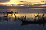 Albufera de Valencia