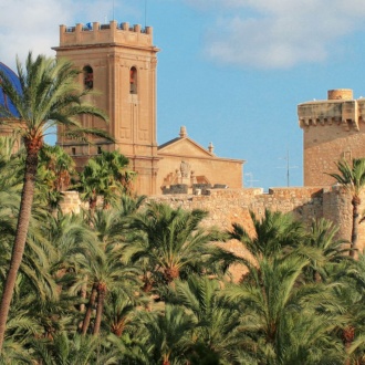 Palmenhain von Elche