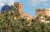 Palmeraie d'Elche
