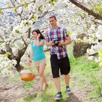 Cerezos en flor, Valle del Jerte