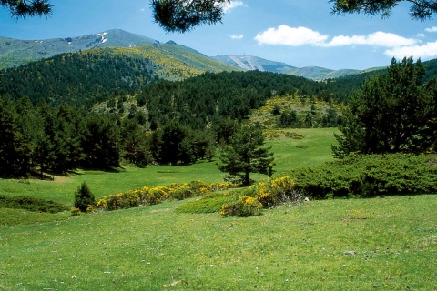 Peñalara Summit, Cirque and Lakes Nature Reserve