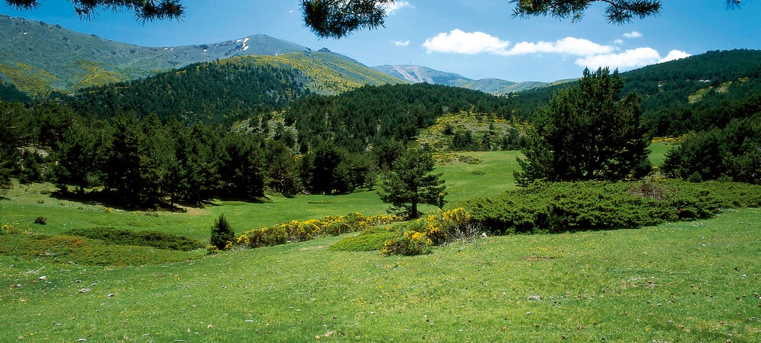 Park krajobrazowy La Cumbre, El Circo y Las Lagunas de Peñalara