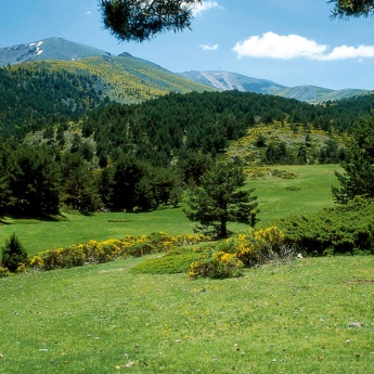 Parc naturel de la Cumbre, le Circo et les lagunes de Peñalara