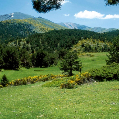 Naturpark La Cumbre, el Circo y las Lagunas de Peñalara