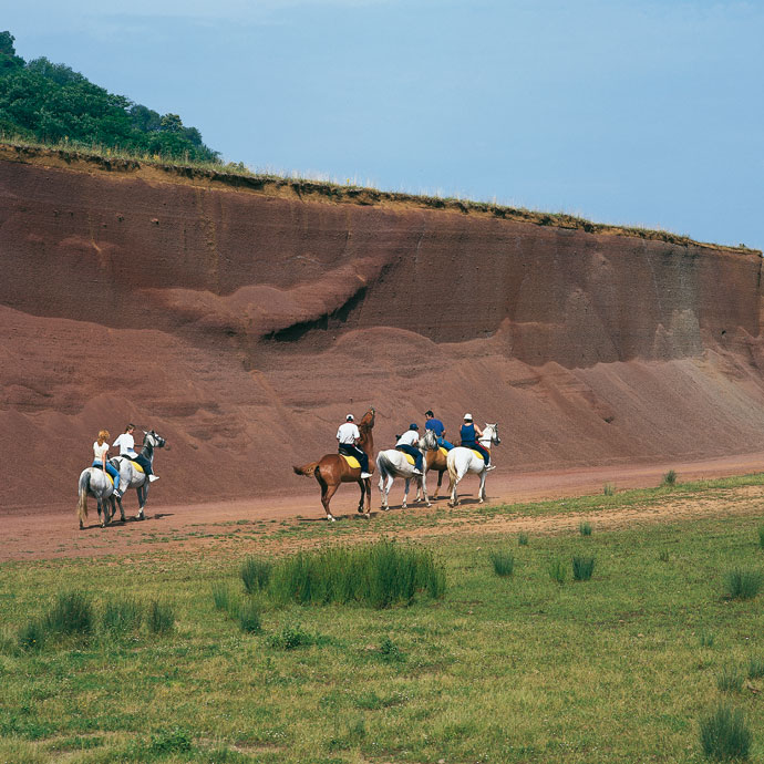 Horse riding routes in Garrotxa