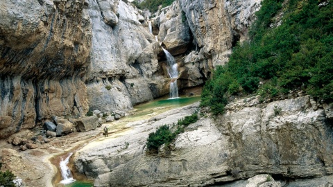 Saltador de Lañas