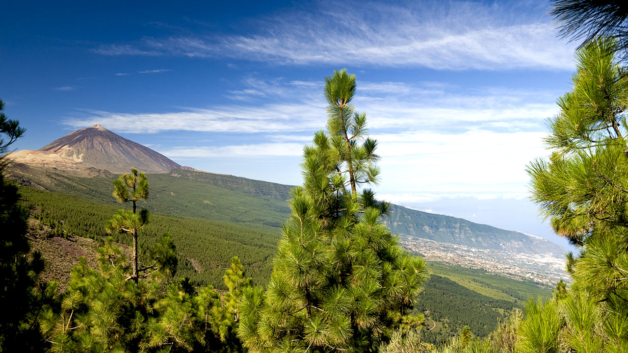 Mirador de Chipeque, Tenerife Mirador de Chipeque, Tenerife