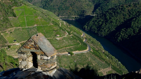 Weinberge im Canyon des Sils. Ribeira Sacra, Lugo