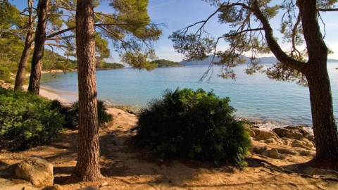 Cala Formentor, Pollença