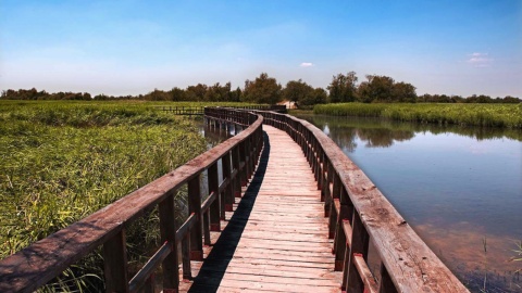 Pasarela de madera en el Parque Nacional de las Tablas de Daimel