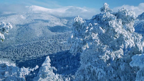 A snowy landscape in the Sierra de Guadarrama National Park