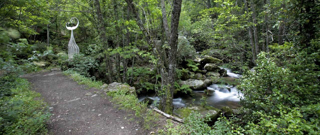 Wald mit Skulptur einer Schwanzflosse