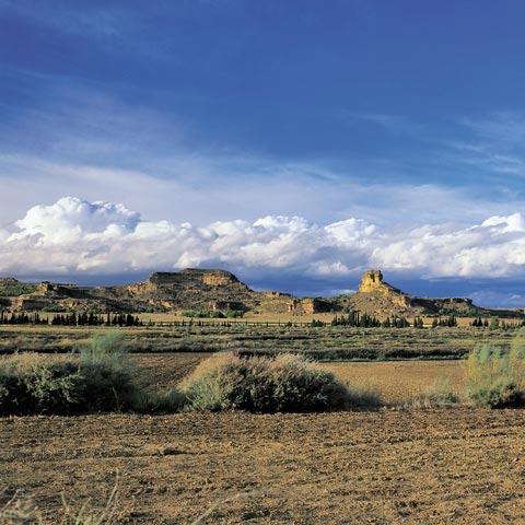 Monegros desert