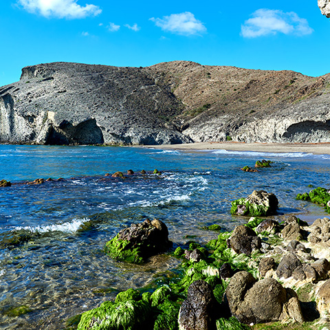 Park przyrody Cabo de Gata-Níjar, Almería, Andaluzja