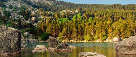 Obszar Chronionego Krajobrazu Laguna Negra w Sorii.