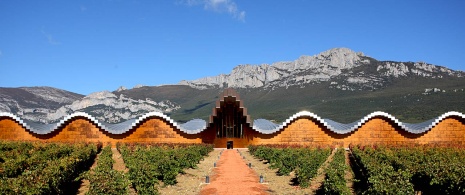 Винодельческое хозяйство Bodegas Ysios