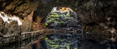 Lago subterrâneo dos Jameos del Agua, em Lanzarote