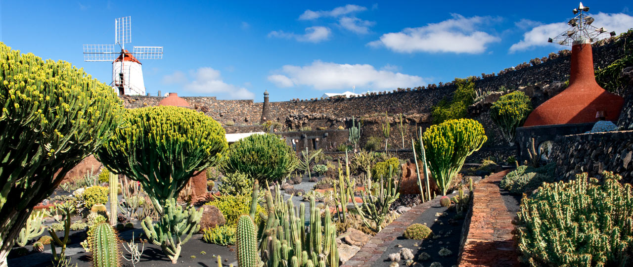 Giardino dei cactus, Lanzarote Giardino dei cactus, Lanzarote