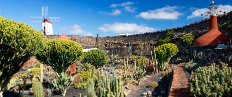 Jardim de Cactos, Lanzarote
