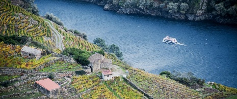 Promenade en catamaran dans la Ribeira Sacra