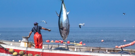 Fischfangtag mit Fangnetzen