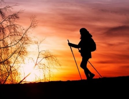 Xacobeo: when the Camino de Santiago becomes even more special